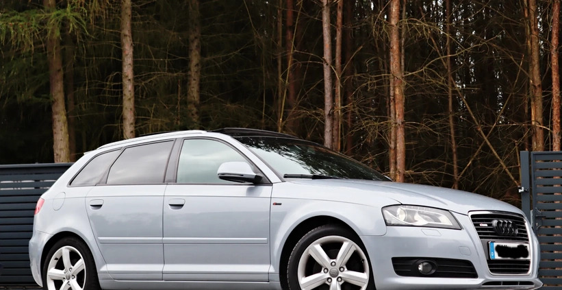 Audi A3 cena 26900 przebieg: 239000, rok produkcji 2008 z Żary małe 254